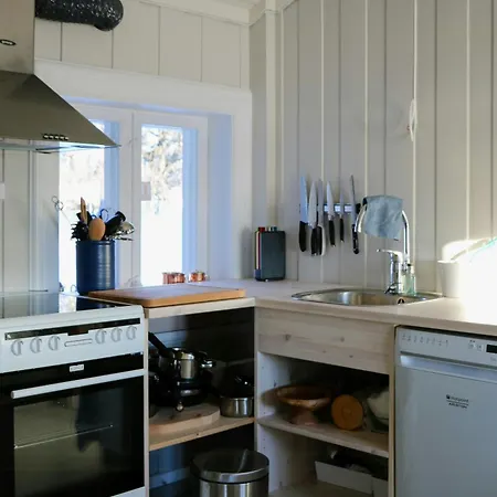 Feriehus Historic Hunting By Oyangen